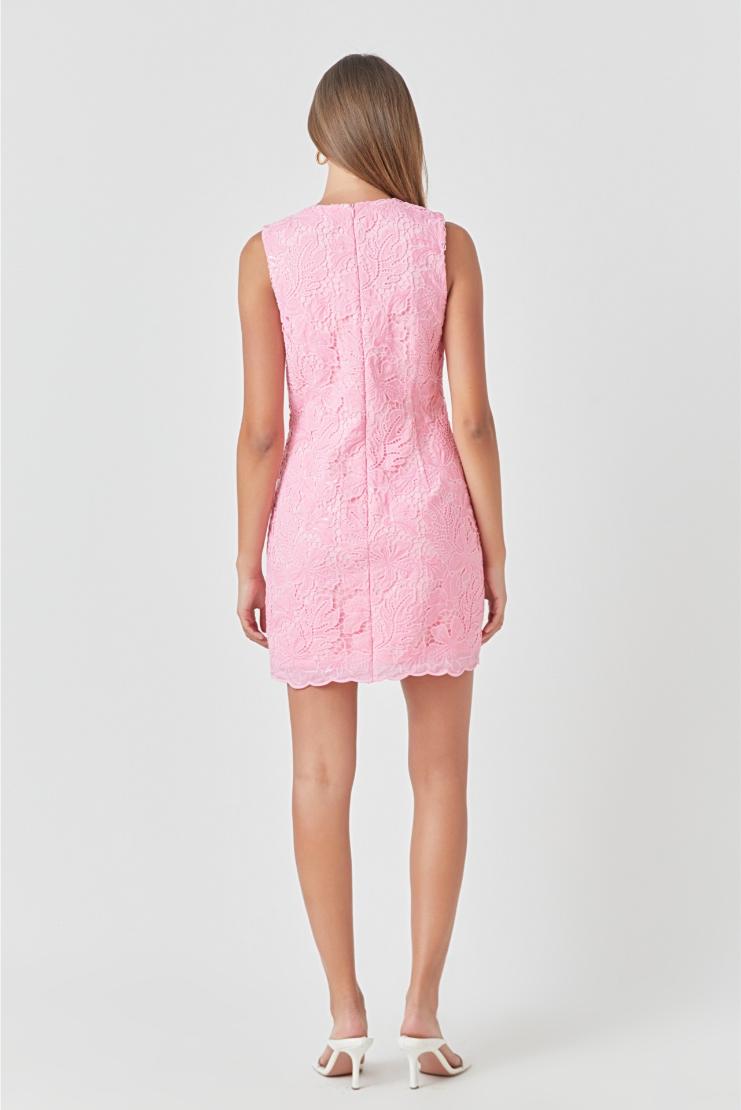 Isabelle Lace Shift Dress - Pink