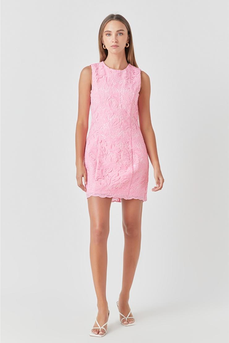 Women's Isabelle Lace Shift Dress - Pink In Size Small - Pippa & Pearl Women's Isabelle Lace Shift Dress - Pink In Size Small - Pippa & Pearl