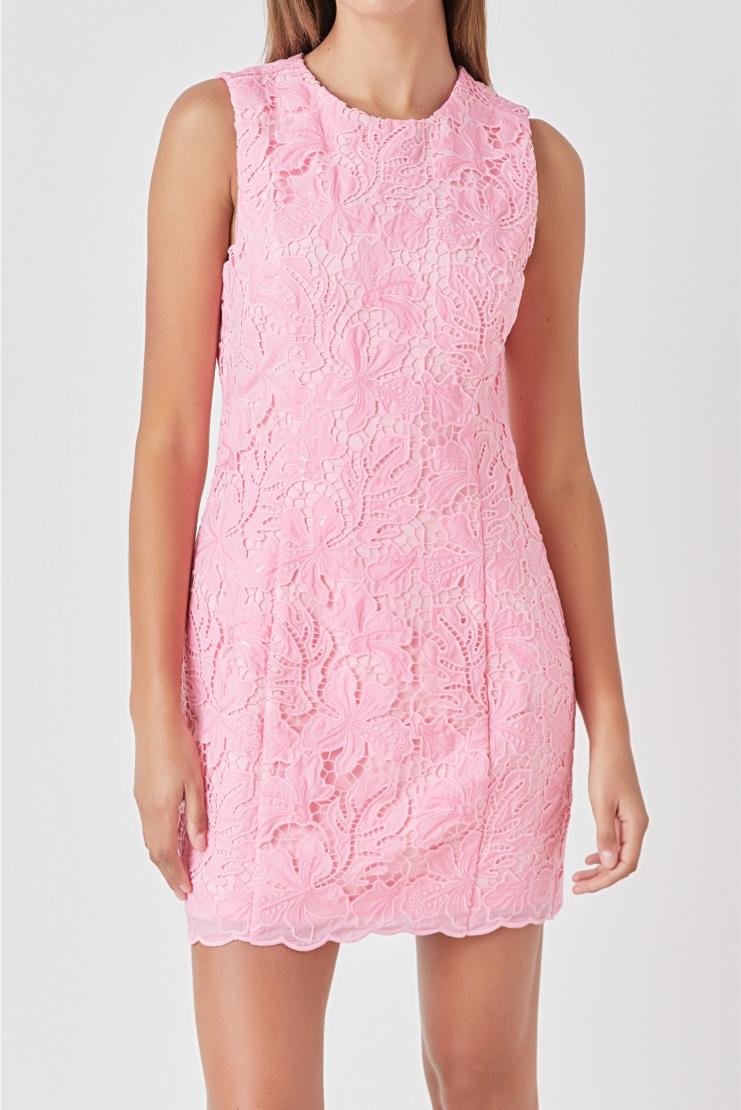 Women's Isabelle Lace Shift Dress - Pink in Size Small - Pippa & Pearl Women's Isabelle Lace Shift Dress - Pink in Size Small - Pippa & Pearl