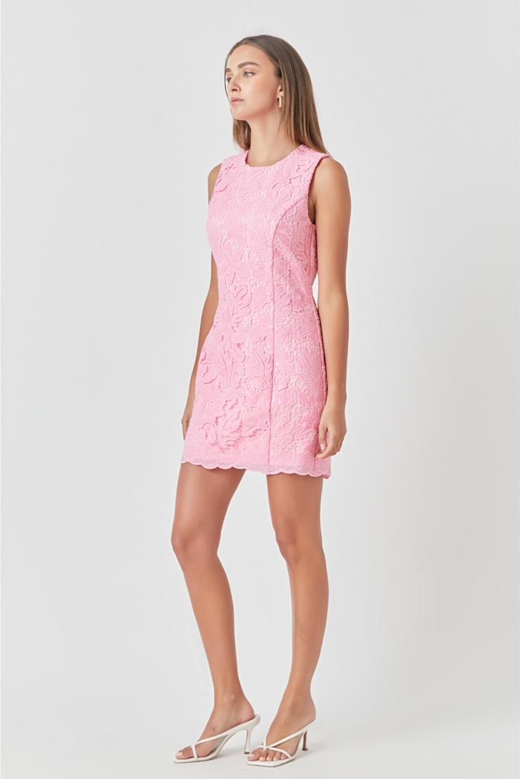 Isabelle Lace Shift Dress - Pink