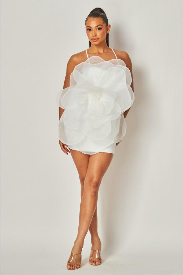 THE BIRTHDAY DRESS COLLECTION - Shop Birthday Dresses for Women Pippa & Pearl THE BIRTHDAY DRESS COLLECTION - Shop Birthday Dresses for Women Pippa & Pearl